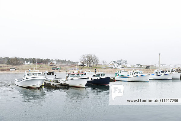 Hummerboote im Hafen; Ingonish  Cape Breton  Nova Scotia  Kanada