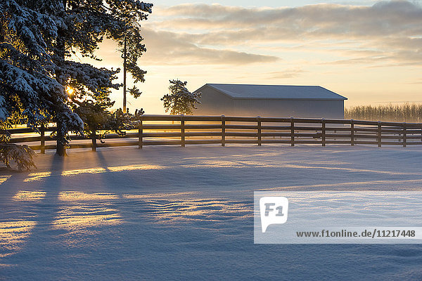 Wintersonnenaufgang auf einer Ranch; Cremona  Alberta  Kanada'.
