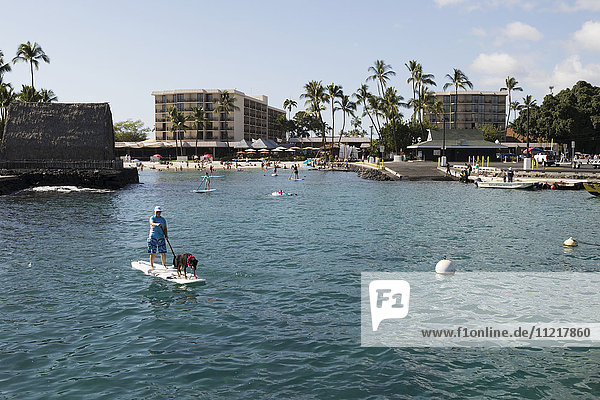 Stand up paddleboarding in front of the King Kam hotel; Kailua-Kona  Island of Hawaii  Hawaii  United States of America