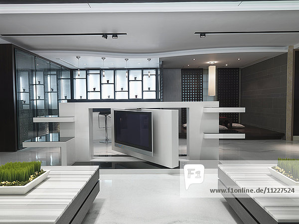 Flatscreen television on modern rotating display