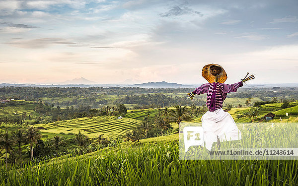 Erhöhter Blick auf die Reisterrassen von Jatiluwih und die Vogelscheuche  Bali  Indonesien
