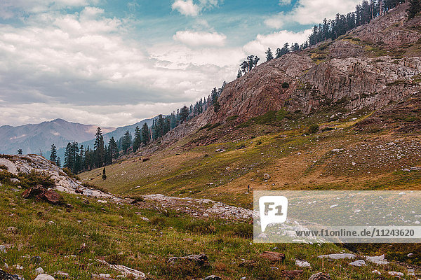 Scenic view Mineral King Sequoia National Park California USA