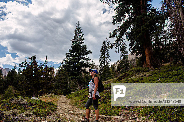 Wanderin schaut auf Aussicht  Mineral King  Sequoia National Park  Kalifornien  USA