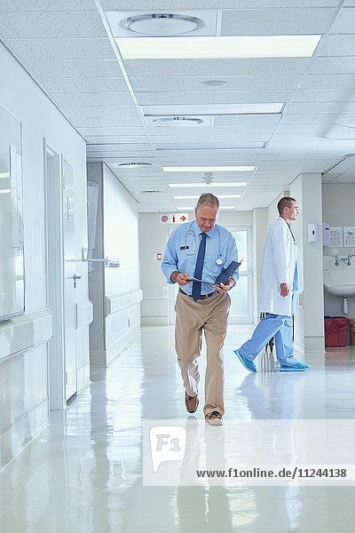 Senior doctor walking along hospital corridor reading medical notes