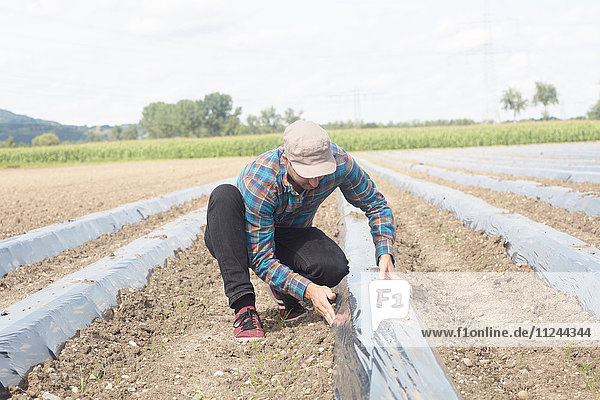 Landwirt installiert Bodenbegasungsfolie auf gepflügtes Feld