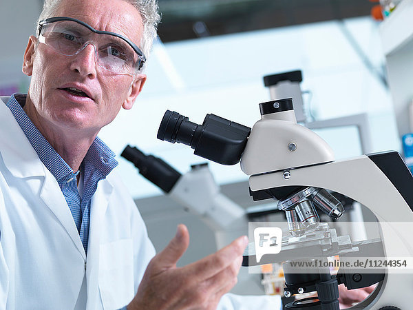 Wissenschaftlerin betrachtet Gewebeproben unter einem Lichtmikroskop in einem Labor