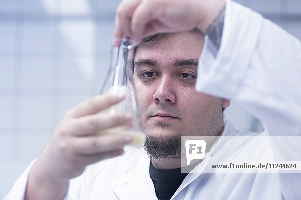 Wissenschaftler pipettiert im Labor Probe in Becher