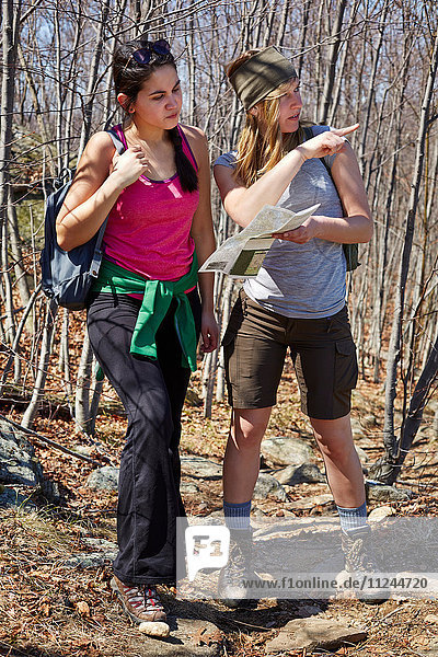 Two female hikers looking at map and pointing in forest  Harriman State Park  New York State  USA