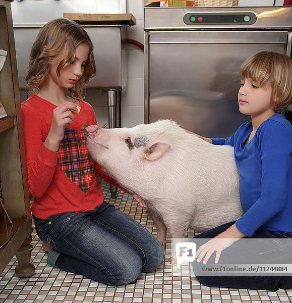 Zwei junge Mädchen in der Küche beim Füttern von Hausschweinen