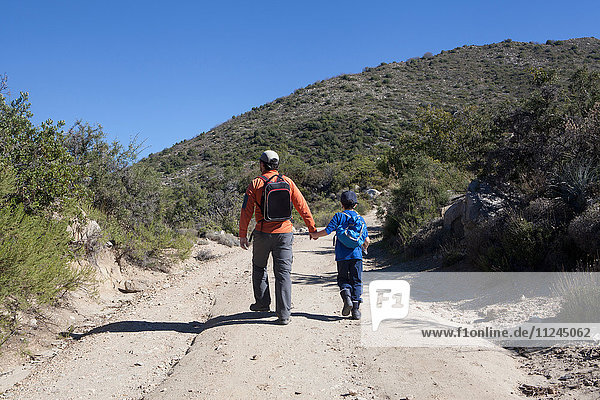 Rear view of man and son hiking dirt track in Andes  Valparaiso  Chile