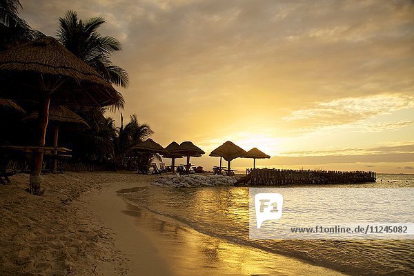 Silhouettierter goldener Sonnenuntergang am Strand  Isla Mujeres  Mexiko