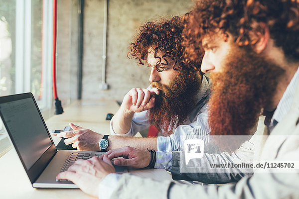 Männliche erwachsene Hipster-Zwillinge arbeiten am Laptop im Büro