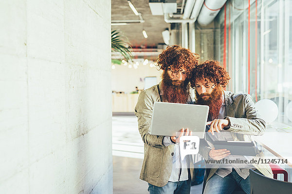 Männliche erwachsene Hipster-Zwillinge  die auf den Laptop im Büro zeigen.