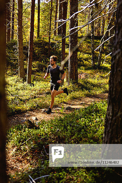 Im Wald laufender Mann  Keimiotunturi  Lappland  Finnland