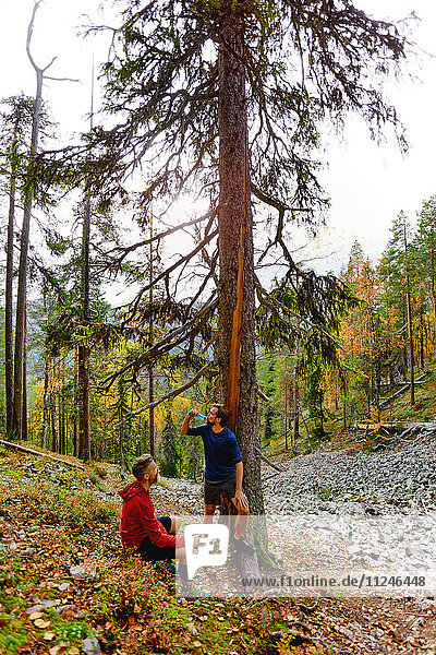 Wanderer rasten am Baum im Wald  Kesankitunturi  Lappland  Finnland
