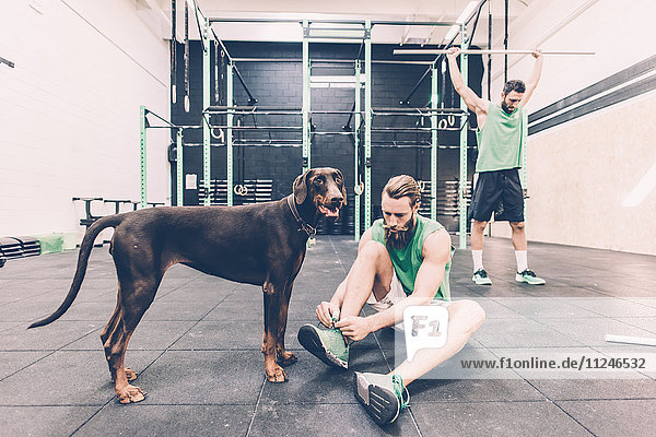 Junger männlicher Cross-Trainer mit Schnürsenkeln für Hundetrainer im Fitnessstudio