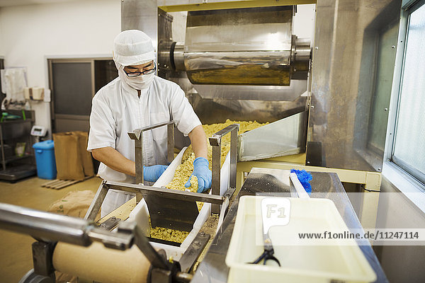 Arbeiter in Schürze und Hut mit blauen Handschuhen  die frisch geschnittene Soba-Nudeln vom Förderband einsammeln.