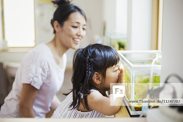 Familienhaus. Eine Frau und ein Kind sehen sich die Fische in einem tropischen Aquarium an.