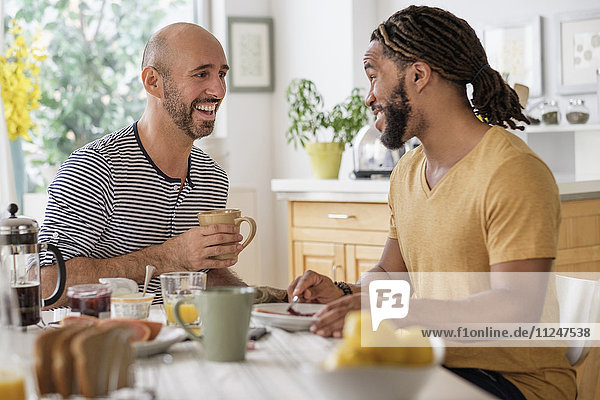 Smiley homosexual couple having breakfast in kitchen