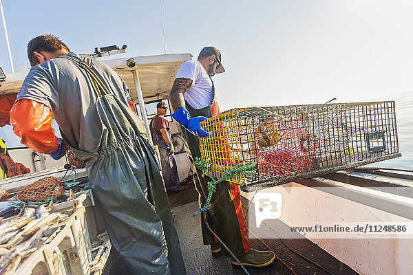 Fishermen preparing lobster traps