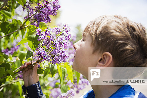 Porträt eines Jungen (6-7)  der an Blumen riecht
