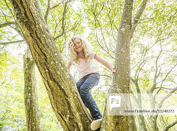 Girl (8-9) climbing tree