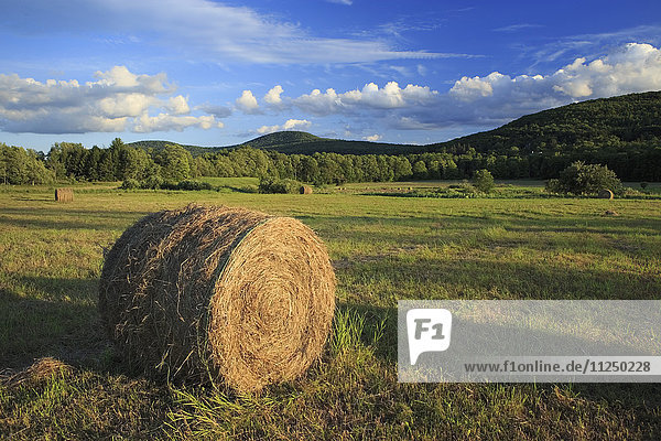 Hay bale in field in agricultural landscape