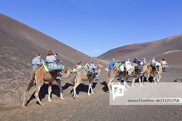 Tourists on camel tour  dromedaries  Parque National de Timanfaya  Lanzarote  Canary Islands  Spain  Europe