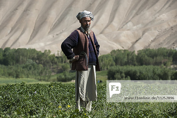 The barren hills of the Bamiyan valley in central Afghanistan appear to promise little  but snowmelt irrigates the fields  Bamiyan Province  Afghanistan  Asia