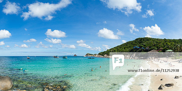 Tourists enjoy the clear waters of Koh Tao  Thailand  Southeast Asia  Asia