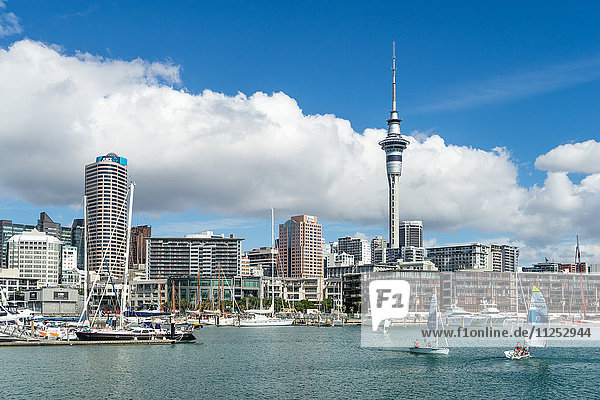 Kleine Segelboote fahren im Hafen von Auckland vor der Skyline der Stadt  Auckland  Nordinsel  Neuseeland  Pazifik
