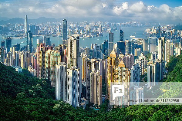 Hong Kong on a summer afternoon seen from Victoria Peak  Hong Kong  China  Asia