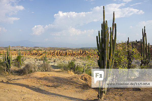 Desierto de Tatocoa (Tatacoa Desert) Colombia South America