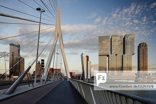 Erasmus Bridge and De Rotterdam  Wilhelminakade  Rotterdam  Netherlands  Europe