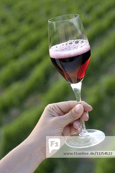 Vernaccia di Serrapetrona (wine from The Marches  Italy)