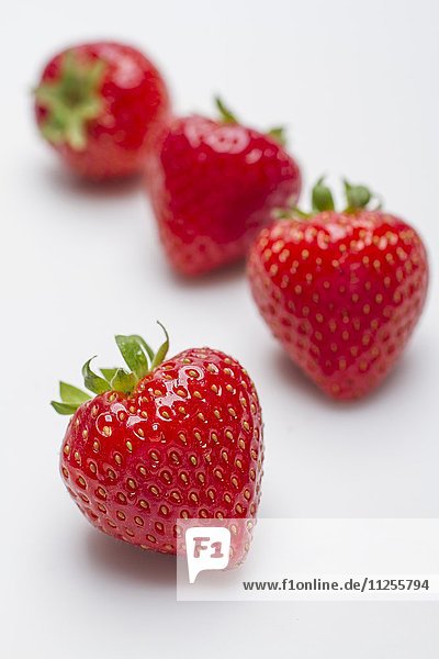 Vier Erdbeeren