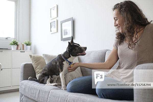 Young woman playing with dog on sofa