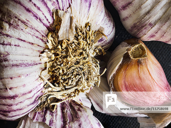 Close up view of garlic