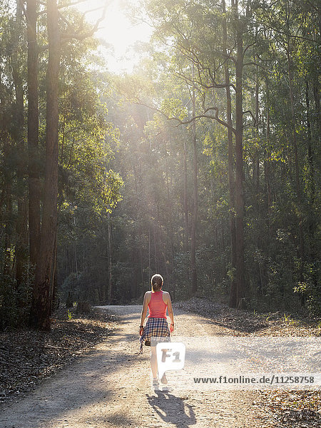 Australia  New South Wales  Port Macquarie  Rear view of mature woman walking along dirt road in forest