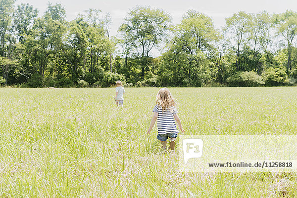 USA  Pennsylvania  Washington Crossing  Children (2-3  4-5) walking on green field