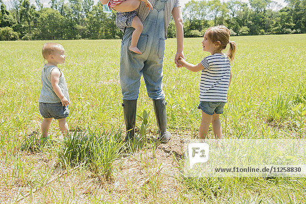 USA  Pennsylvania  Washington Crossing  Mother with three daughters (18-23 months  2-3) walking on green field