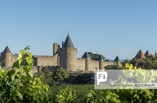 Mittelalterliche Festungsstadt Carcassonne  Languedoc-Roussillon  Frankreich