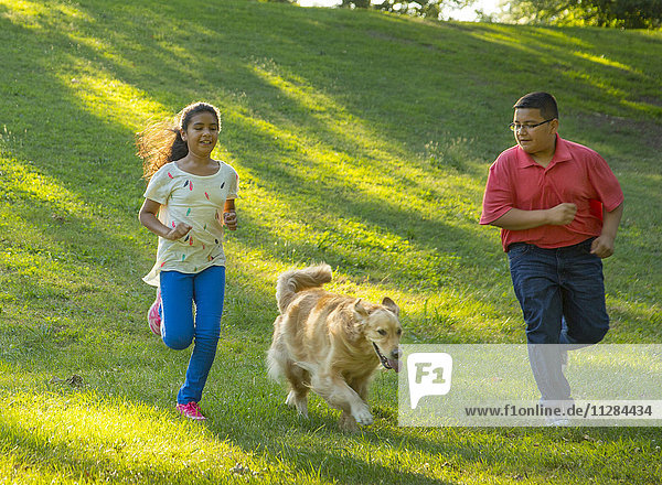 Hispanischer Bruder und Schwester laufen mit Hund auf einem Hügel