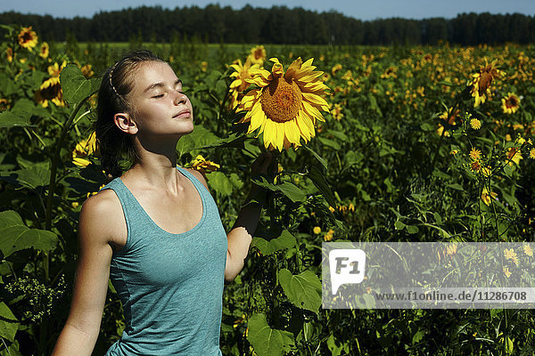 Caucasian girl smelling sunflowers in field