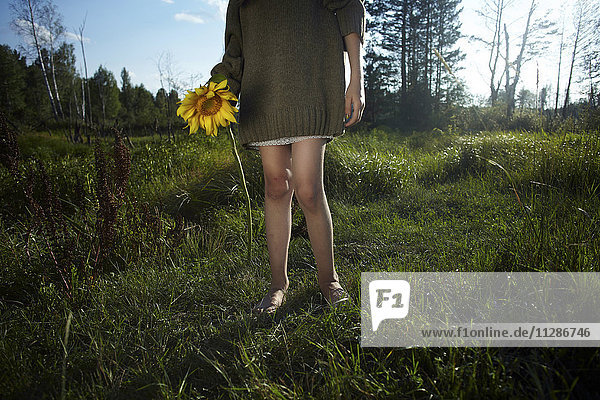 Tiefschnitt eines kaukasischen Mädchens mit Pullover und Sonnenblume
