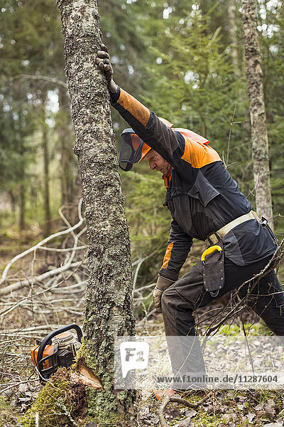 Man cutting tree