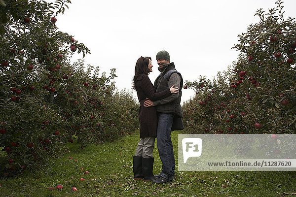 Couple in Apple Orchard