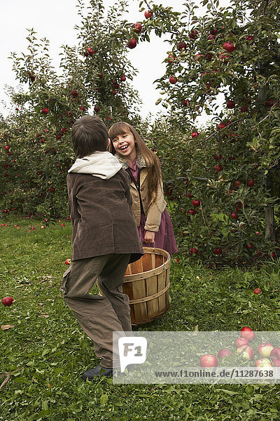 Kinder im Apfelgarten