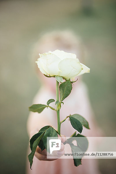Mädchen hält weiße Rose