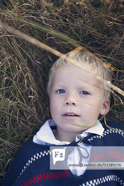 A boy lying in the grass